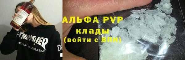 молекула духа Козловка