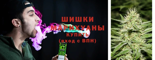 хмурый Верея