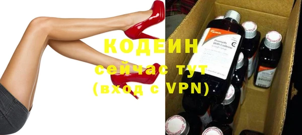 молекула духа Козловка