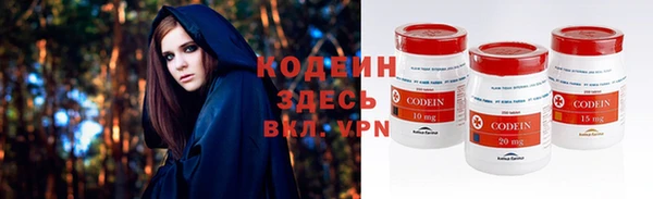 молекула духа Козловка
