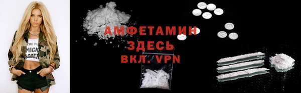 молекула духа Козловка