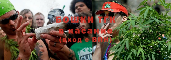 молекула духа Козловка