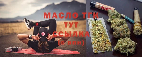 молекула духа Козловка