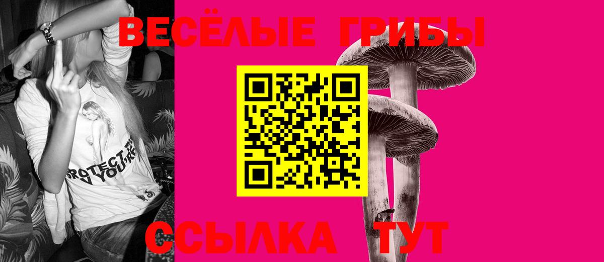 Псилоцибиновые грибы GOLDEN TEACHER  Вход с VPN  Кисловодск 